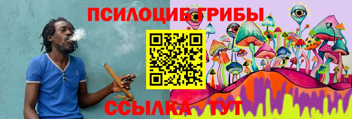 Галлюциногенные грибы Psilocybine cubensis  Вход с VPN  Соль-Илецк 