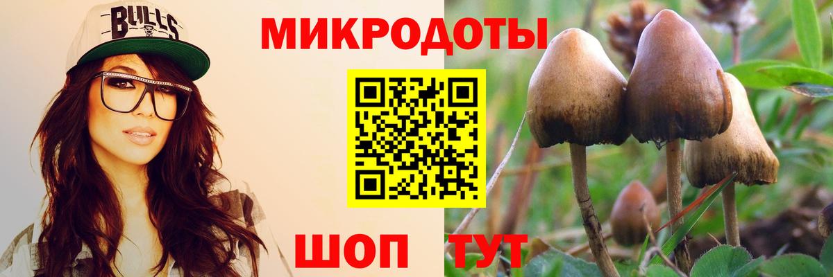 Галлюциногенные грибы Magic Shrooms Соль-Илецк